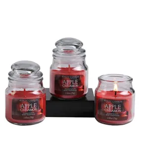 Set of 3 Apple Cinnamon Highly Scented, 2.65 Oz Wax, Jar Candle.